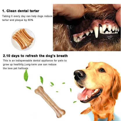 2024 New Dog Toys Bones Pet Chew Toothbrush