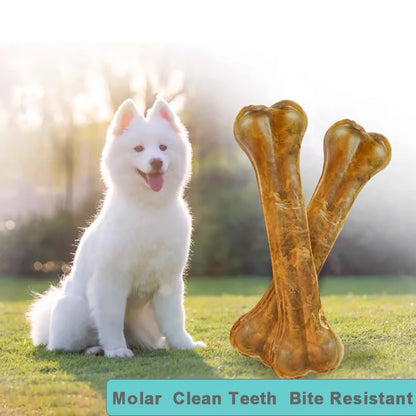 2024 New Dog Toys Bones Pet Chew Toothbrush